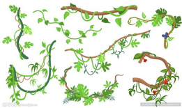 藤蔓漫画,描绘生活的细腻画卷