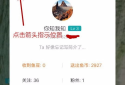 怎样在91直播,轻松打造个性化直播体验，开启直播新篇章